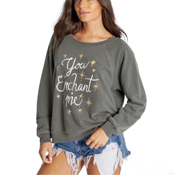 Wildfox You Enchant Me gray sweatshirt sweater size S NWT - Picture 7 of 10